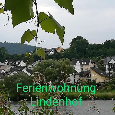 Die Ferienwohnung Lindenhof Zell Exterior foto
